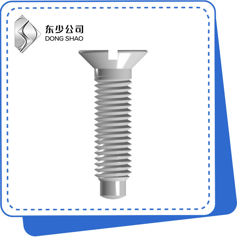 Slotted Countersunk գլխի պտուտակներ ամբողջական Dog կետով